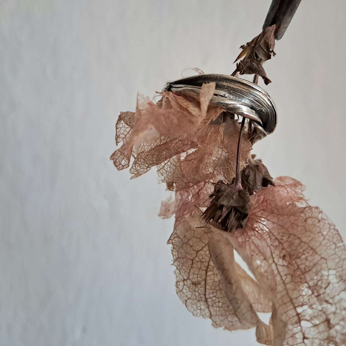 FLUIDI MUTEVOLI - anello in Argento