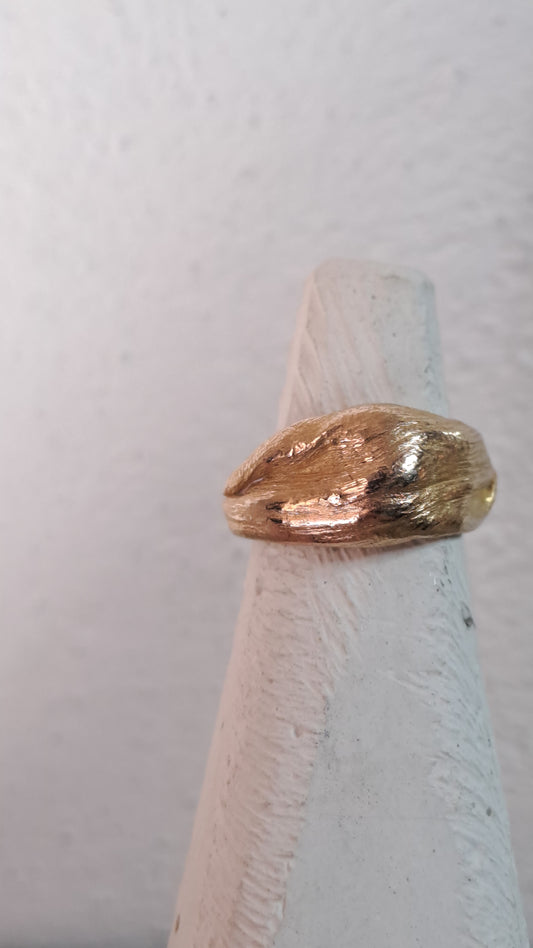 FLUIDI MUTEVOLI - anello in Bronzo misura 11