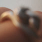 Fluidi Mutevoli Anello 15/16