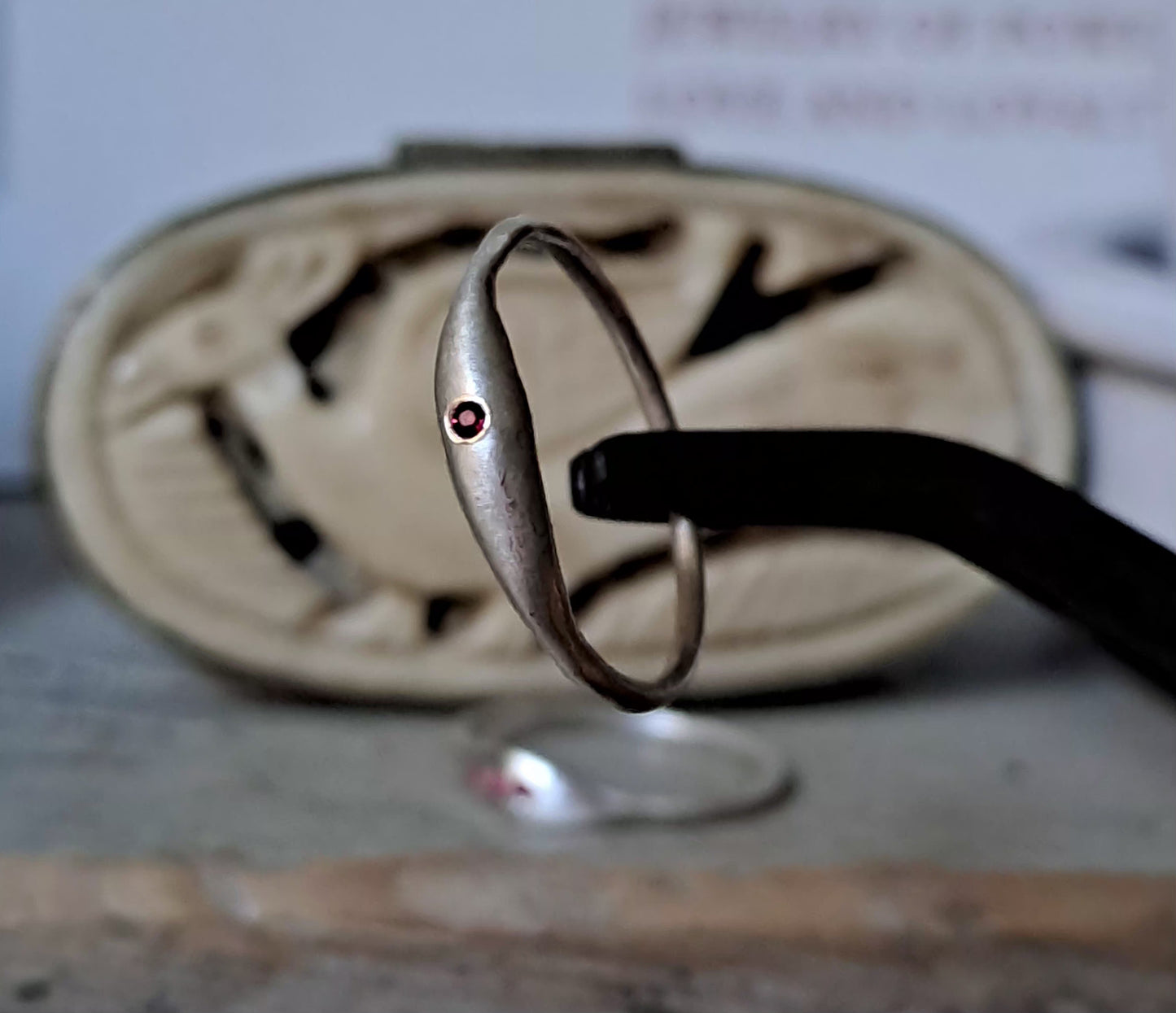 Souvenir di Pesciolini